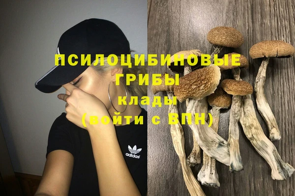 тгк Алексеевка