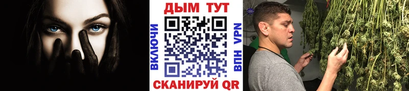 Бошки марихуана марихуана  Камышин 